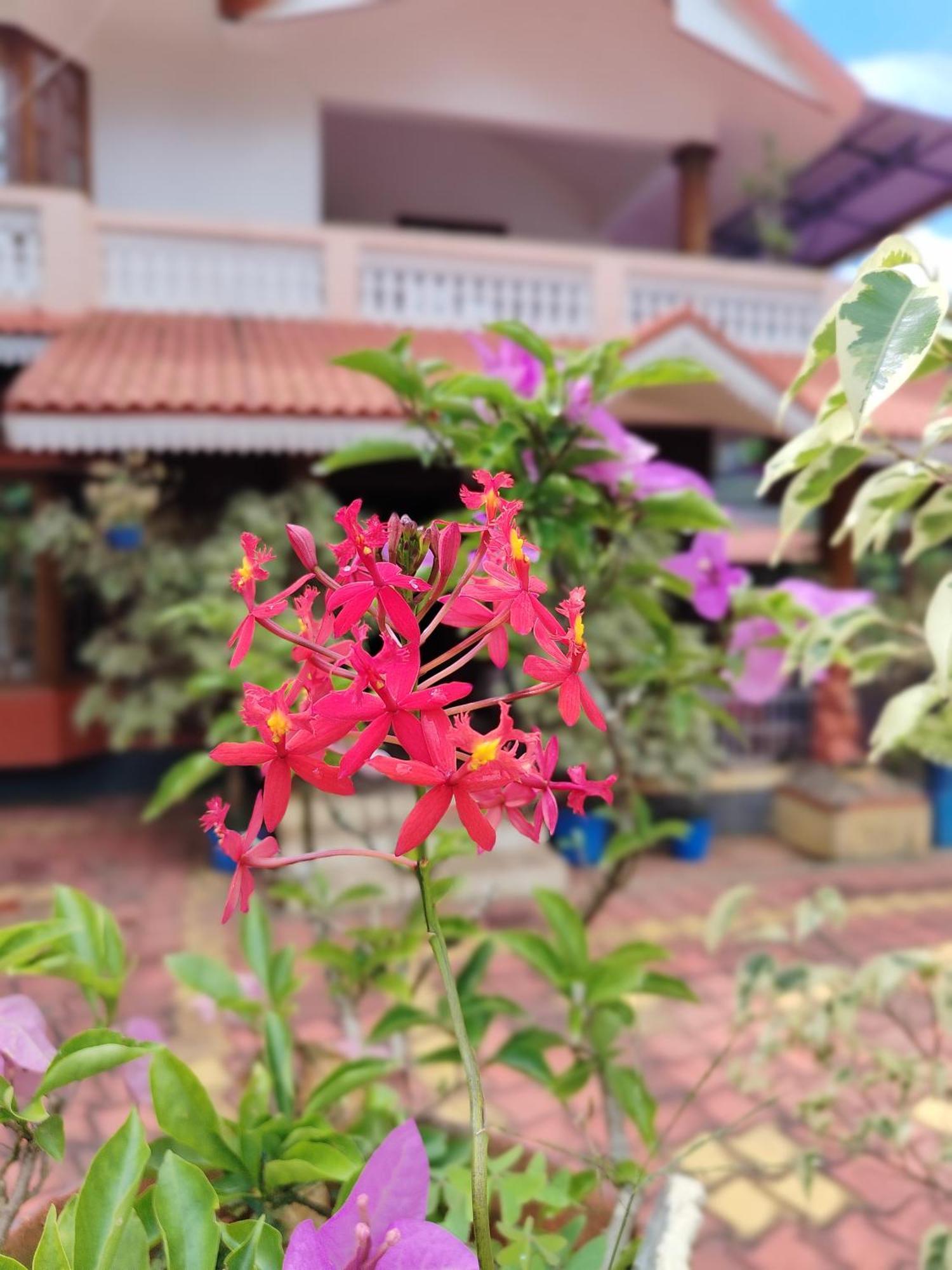 Shivalaya Homestay, Madikeri Siddāpur Extérieur photo