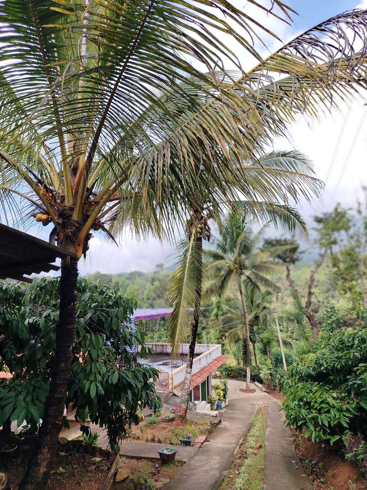 Shivalaya Homestay, Madikeri Siddāpur Extérieur photo